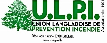 Logo_ULPI